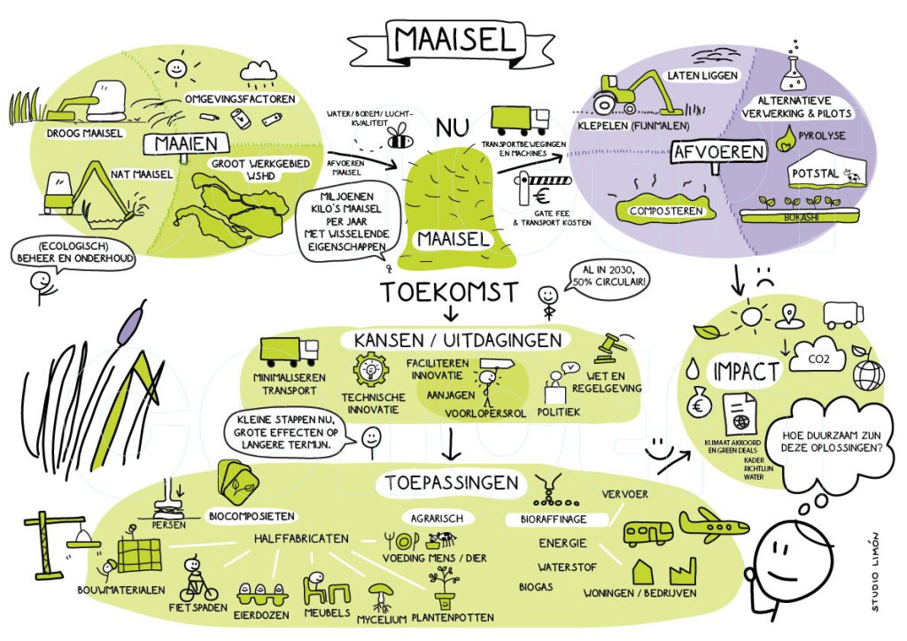 Getekend verslag maaiselproject over verwerking, toepassingen en circulaire kansen van maaisel visueel samengevat
