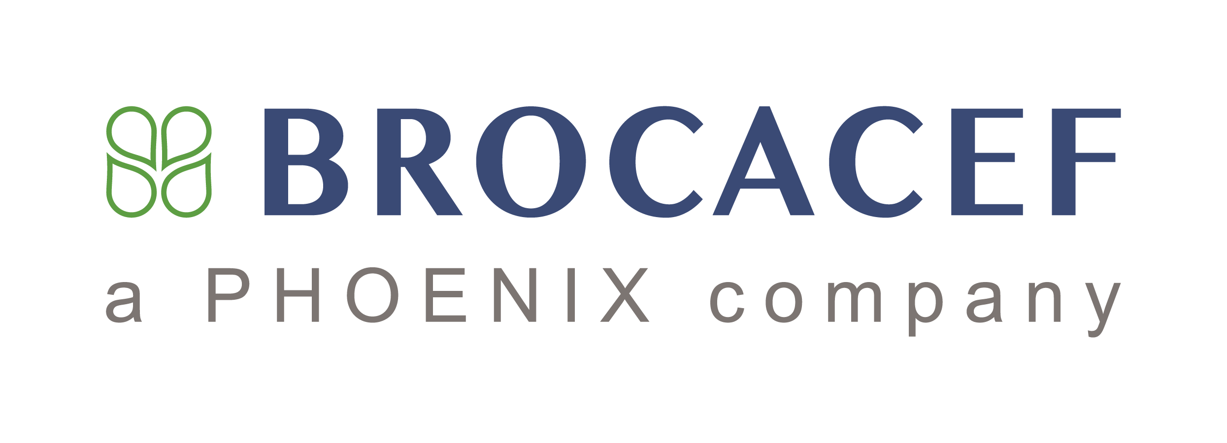Logo Brocacef